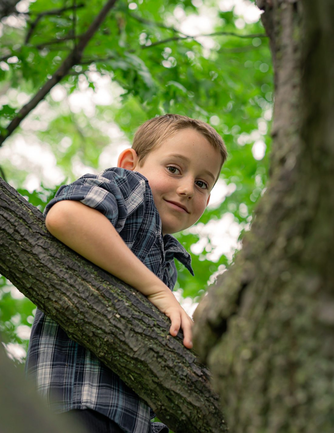 Boy smiling at the camera from a tree branch, shot from below against green leaves