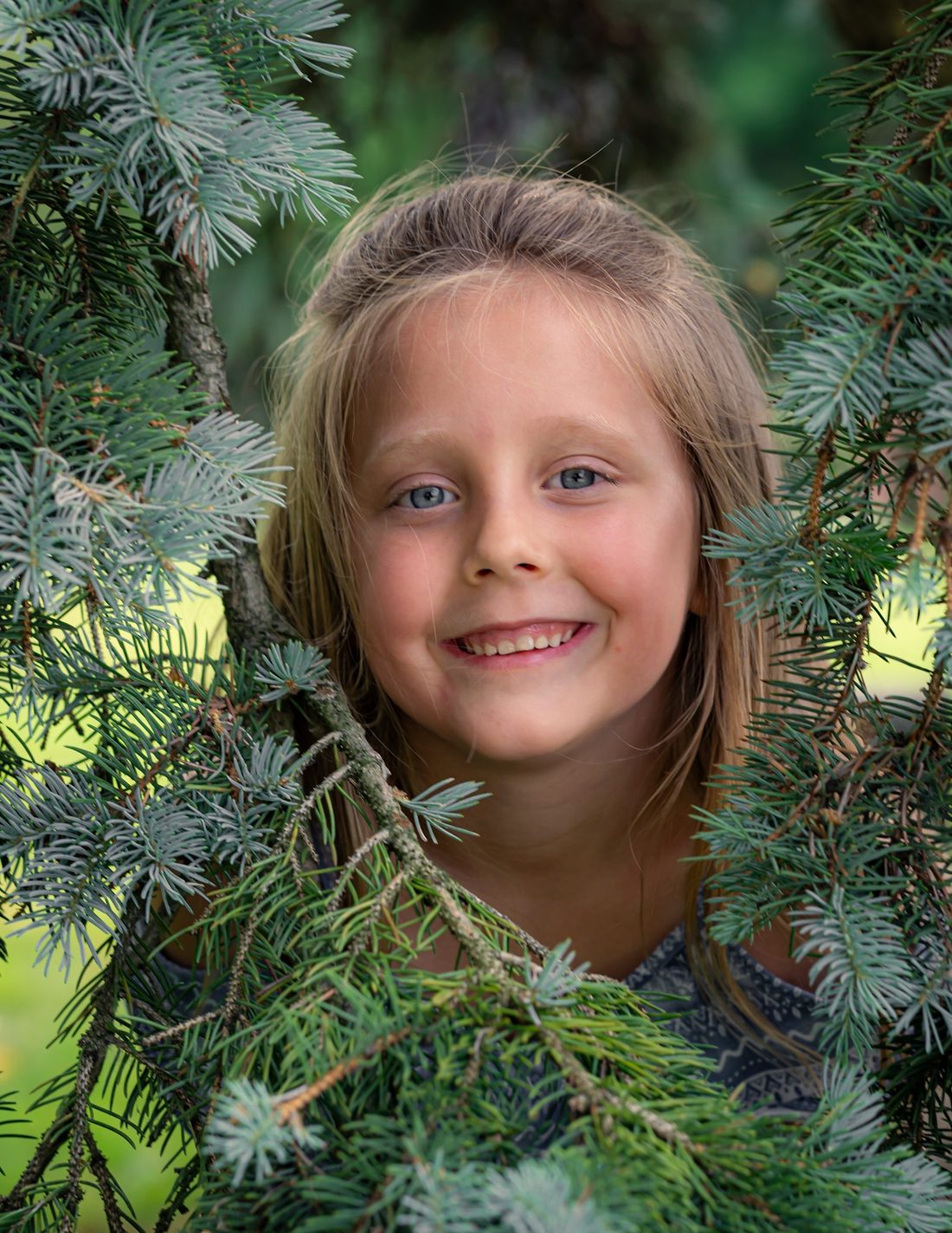 Young girl smiling through blue spruce branches